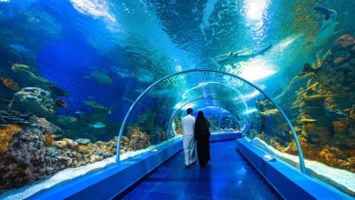 Jeddah with kids