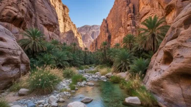 Wadi Al Disah travel guide