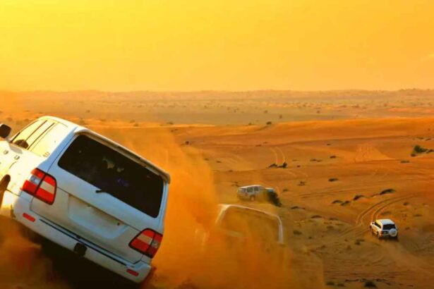 Enjoy the thrill of desert safaris in Dubai