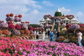 Miracle Garden