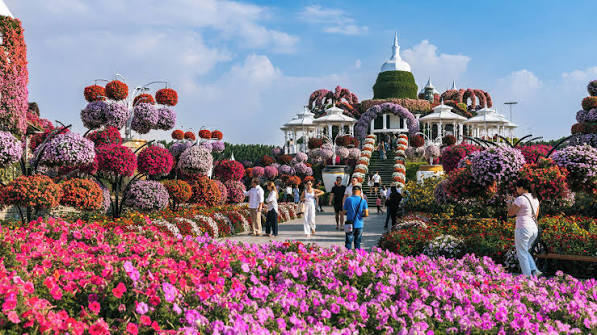 Miracle Garden