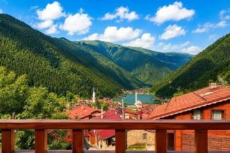 Uzungol cabins