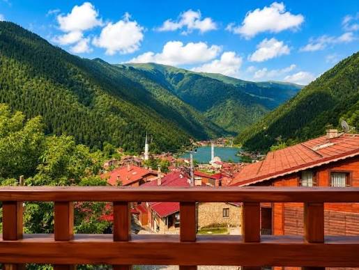 Uzungol cabins